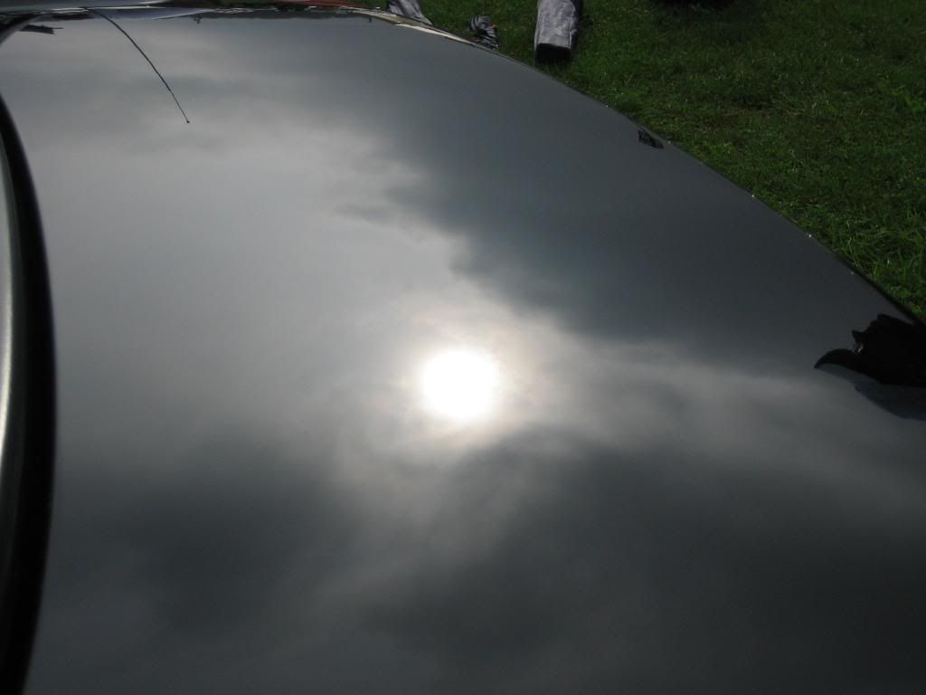 IMG_0893.jpg