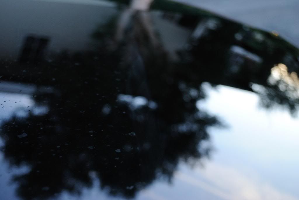 DSC_0001_052.jpg