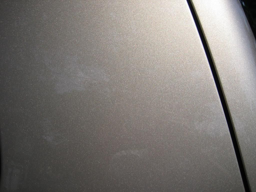 IMG_1261.jpg