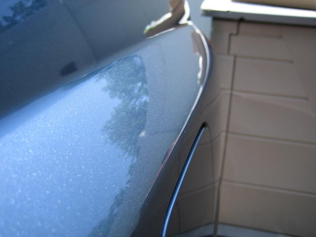 IMG_1295.jpg