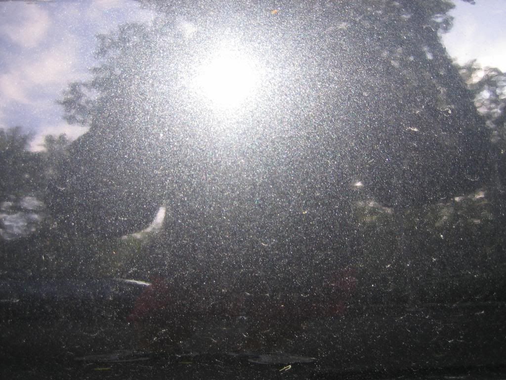 IMG_1386.jpg