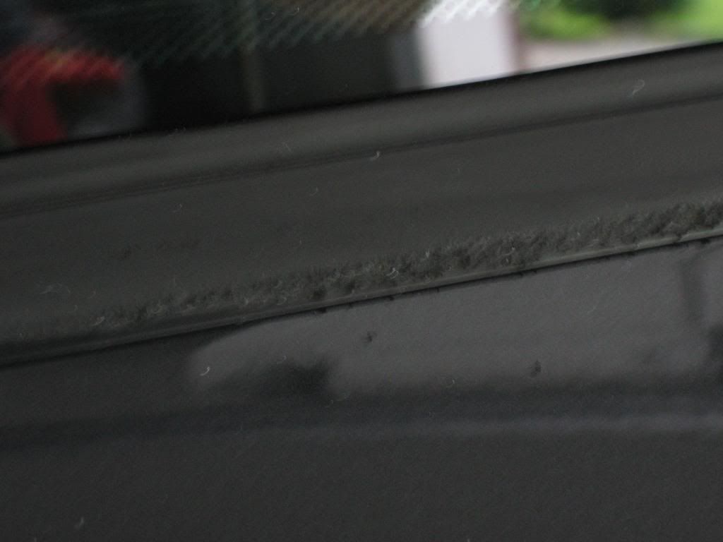 IMG_1392.jpg