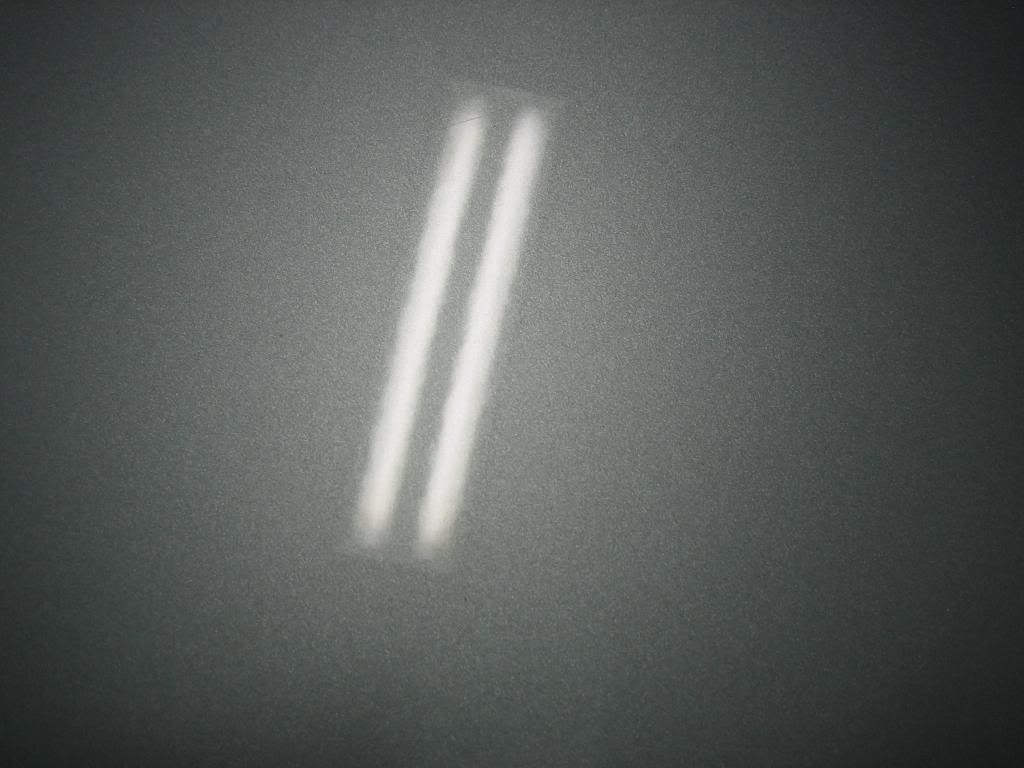 IMG_1542.jpg