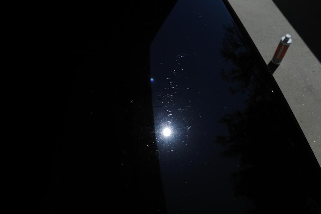 DSC_0016_081.jpg
