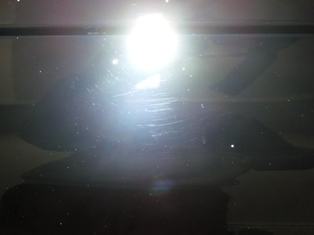 Photo0730.jpg
