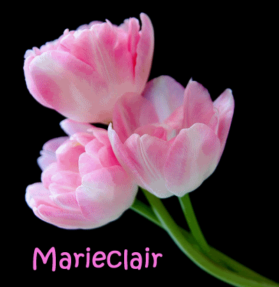 marieclair1.gif picture by Suave_Quel