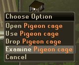 ExaminePigeonCageFull.png