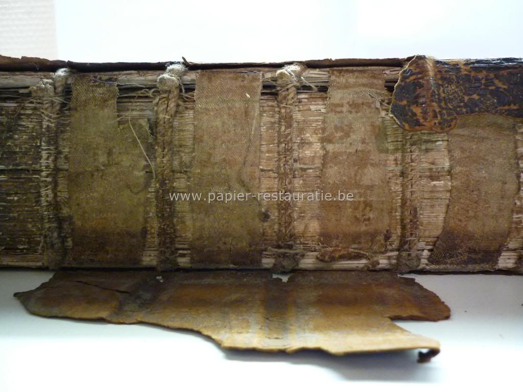 Klik op de afbeelding om de link te volgen