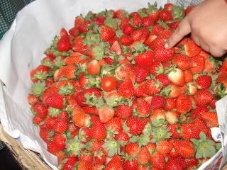 Strawberries!