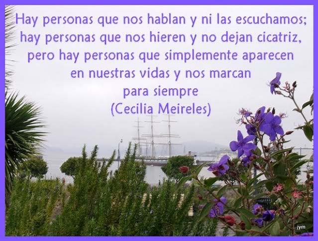 11.jpg picture by charomaral