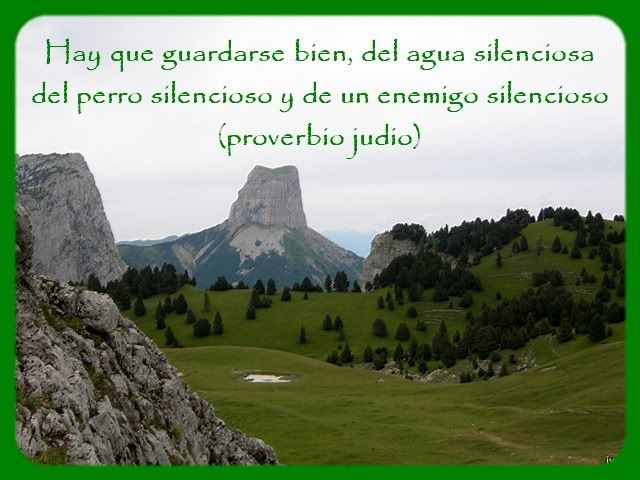 13.jpg picture by charomaral