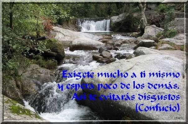 a-1.jpg picture by charomaral