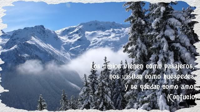 b.jpg picture by charomaral