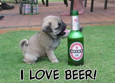 Alcohol Photo Picture
