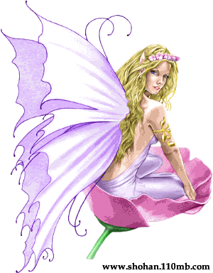 Angel Photo Picture