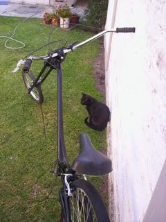 chooper chooper