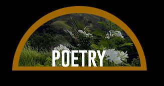 3poetry photo 3poetry_zpsa5347575.jpg