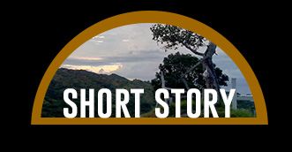 4ss photo 4ss_zpsd3ad294a.jpg