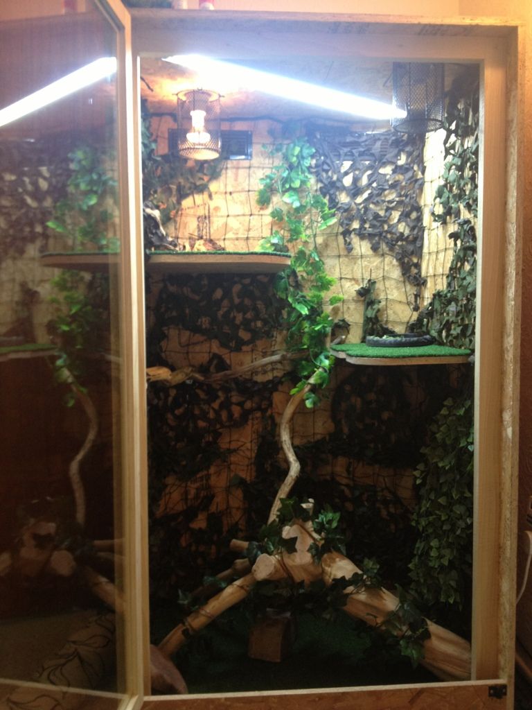 iguana vivarium