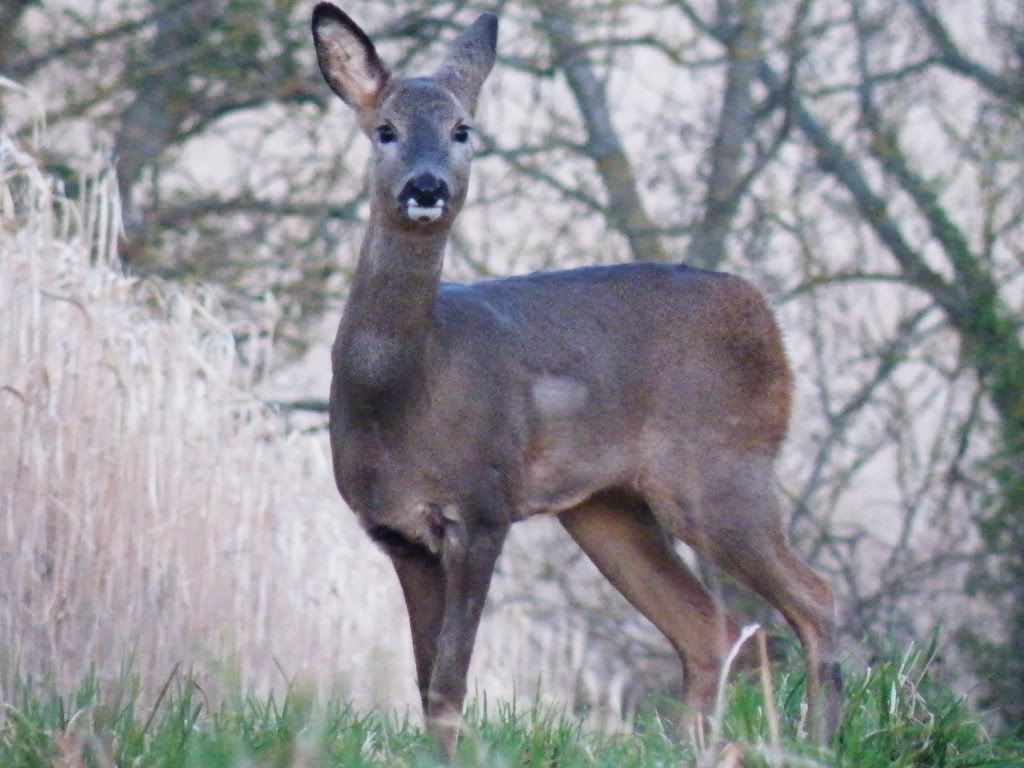 DSCF6118.jpg