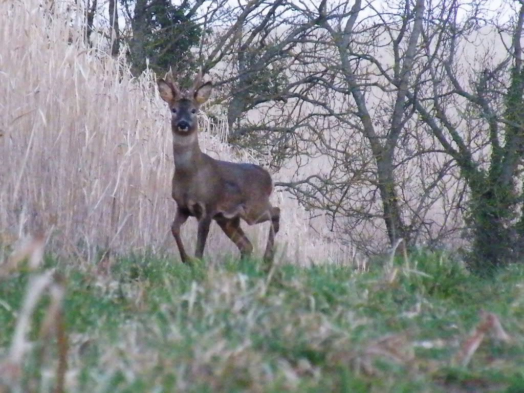 DSCF6153.jpg