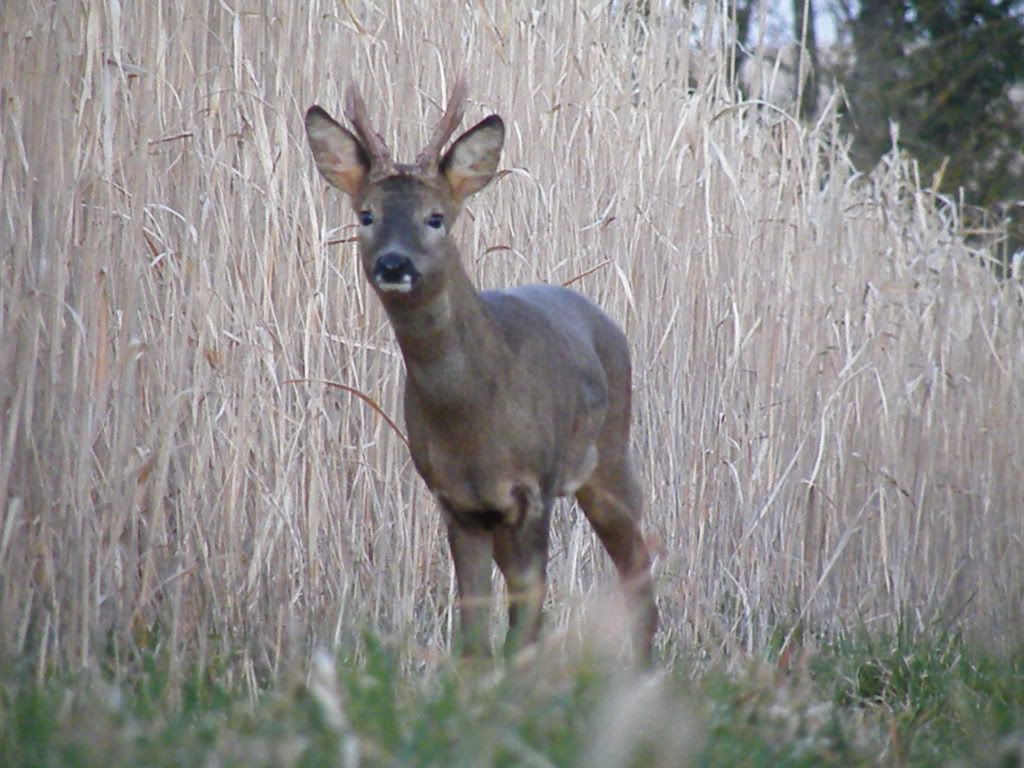 DSCF6186.jpg