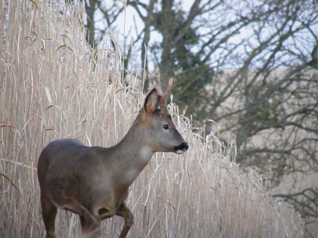 DSCF6187-1.jpg