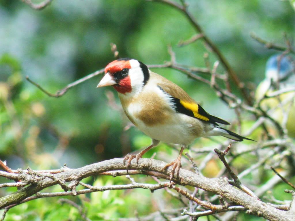 DSCF7172.jpg