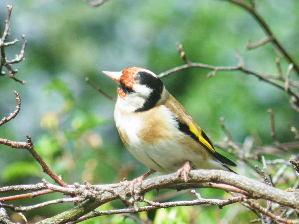 DSCF7187.jpg