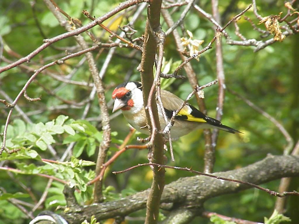 DSCF7212.jpg