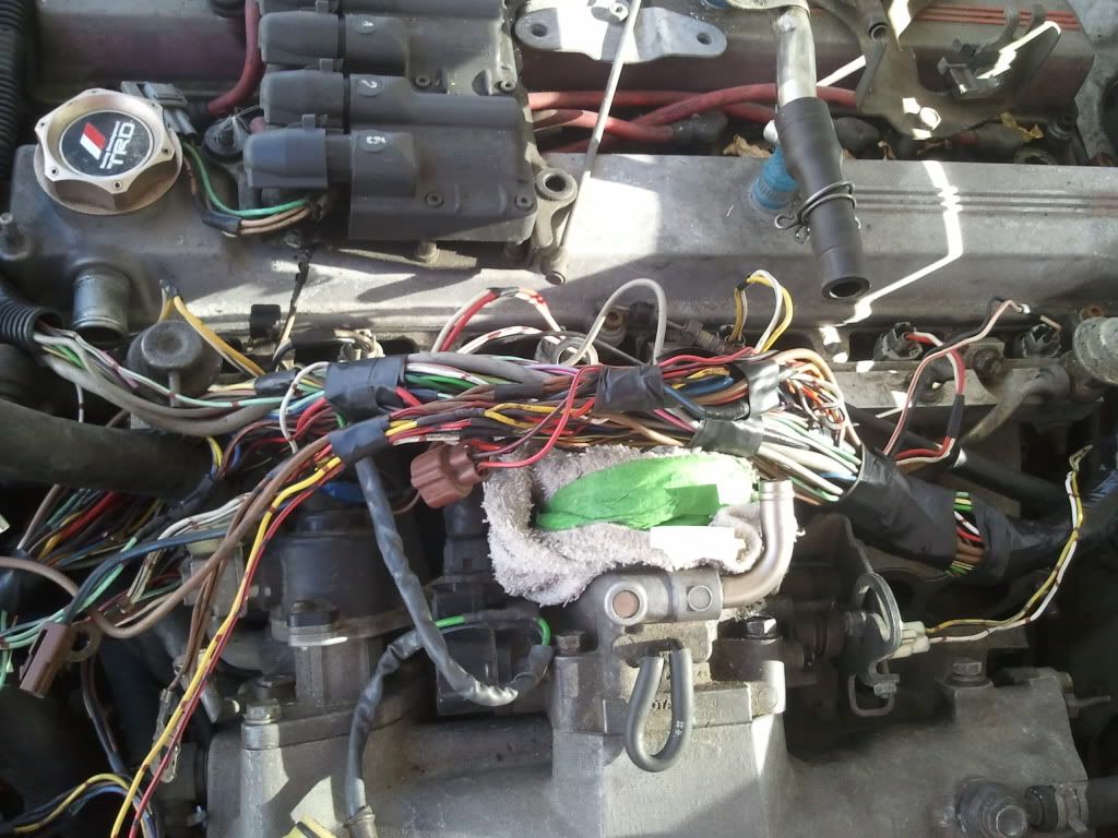 7mgte Wiring Harness Diagram 7MGTE two tone wiring help